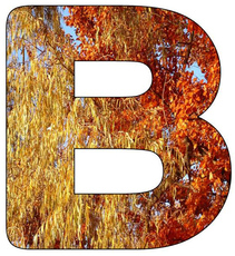 Herbstbuchstabe-B.jpg